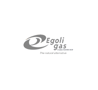 Egoli Gas client logo