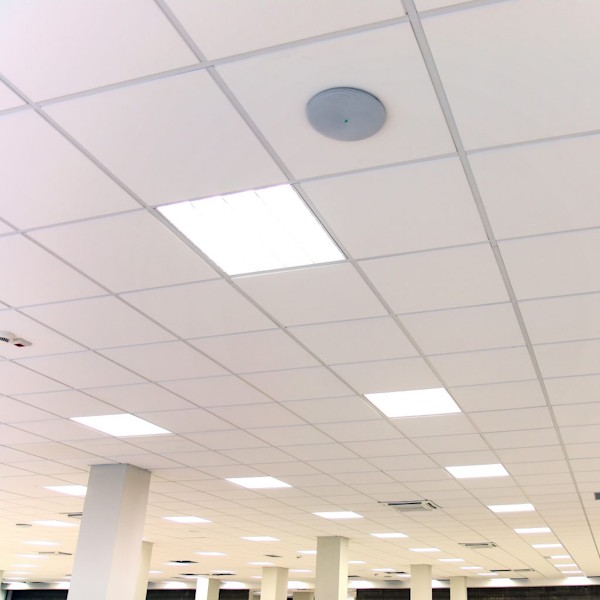 Professional ceiling cleaning and restoration services