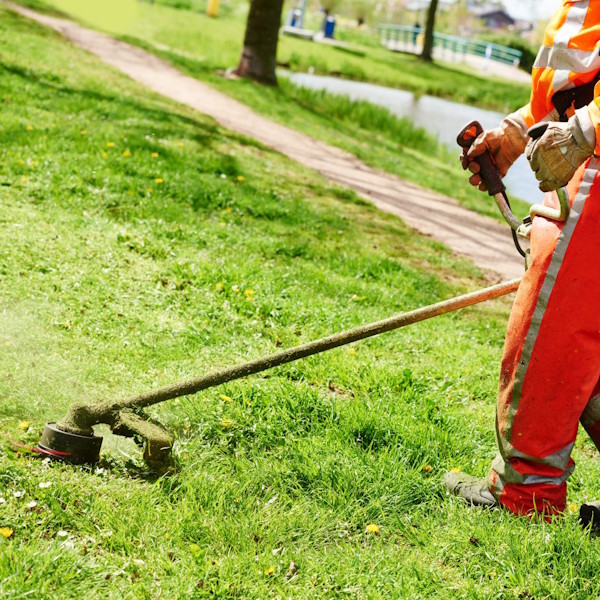 Grounds maintenance and garden services for commercial properties